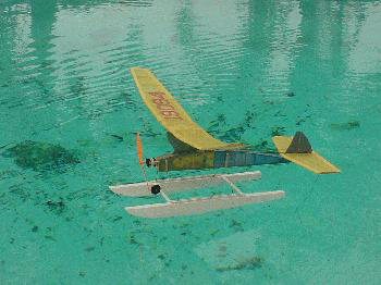 Floats & Baby Phoenix