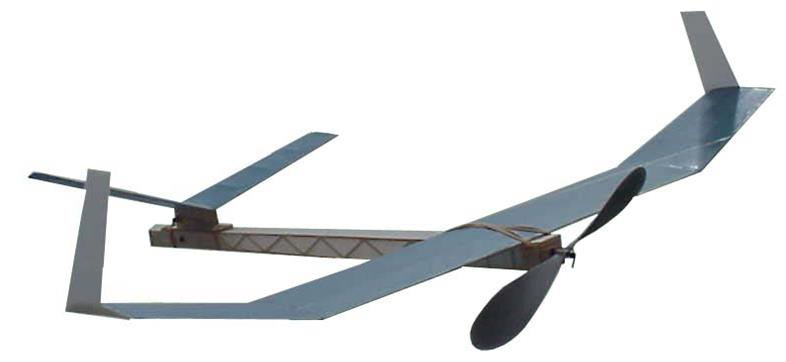 2+ Tail Firster
